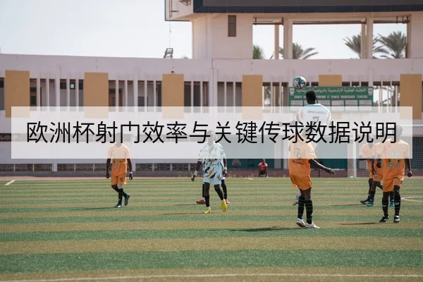 欧洲杯射门效率与关键传球数据说明